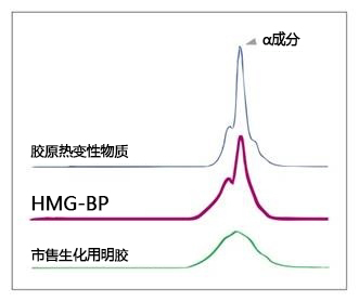 Nippi低内毒素胶原 · 明胶