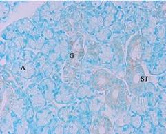 GenomONE® -Neo EX 仙台病毒包膜转染试剂 GenomONE® -Neo EX HVJ-E vials Transfection Reagents