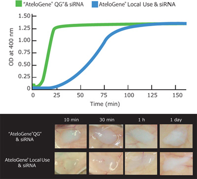 AteloGene® siRNA活体转染试剂盒                              AteloGene®  Quick Gelation