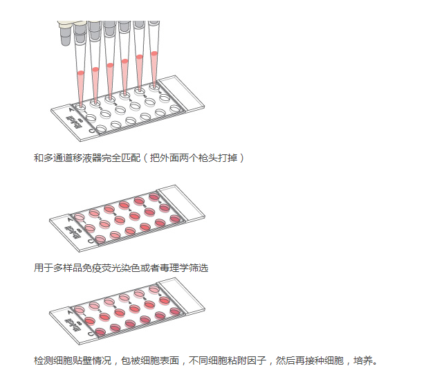 18孔培养载玻片-扁平版