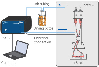 人体血液循环模拟系统