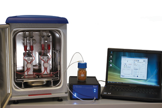 人体血液循环模拟系统