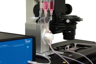 人体血液循环模拟系统