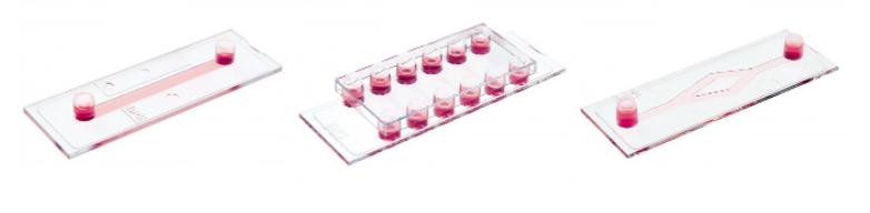 人体血液循环模拟系统