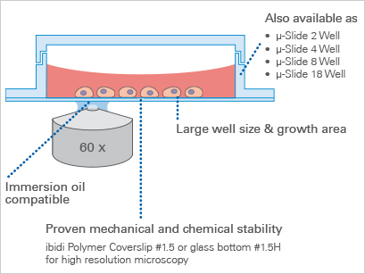 µ-Slide 1 Well 1孔腔室载玻片-82106 82101 82107