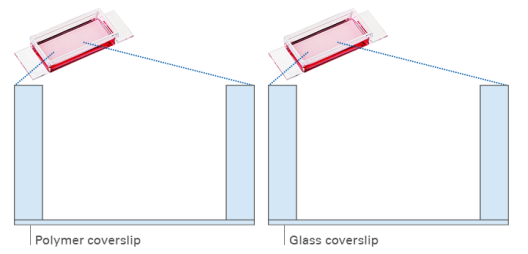 µ-Slide 1 Well 1孔腔室载玻片-82106 82101 82107
