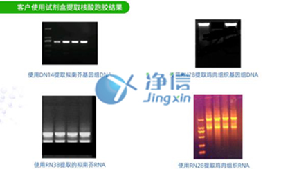 细胞培养试剂